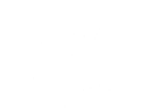 Vocal Point logo